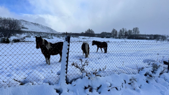 Montalegre com escolas fechadas devido à neve