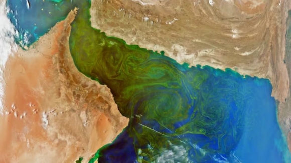 Imagens da NASA mostram a verdadeira paleta de cores dos oceanos