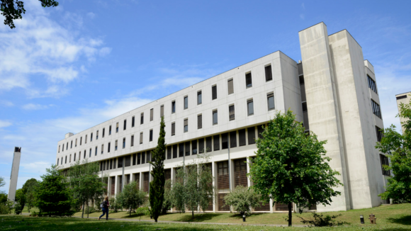 Alunos pró-Palestina ocupam Faculdade de Ciências da Universidade do Porto 