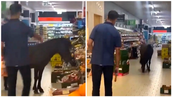 Insólito. Cavalo entrou em supermercado português para comer fruta e legumes