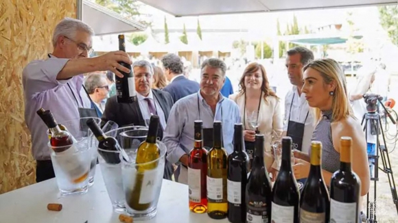 Feira dos Altos celebra os vinhos colhidos no planalto de Alijó