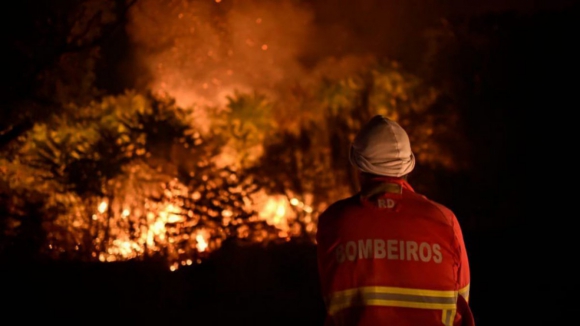 Bombeiros combatem incêndio florestal de "grande intensidade" em Arouca