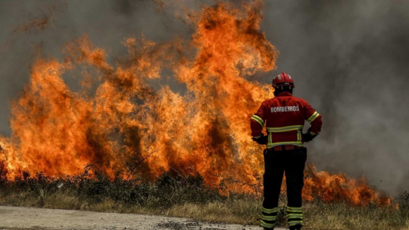 Incêndio em Oliveira de Azeméis consome três hectares de floresta