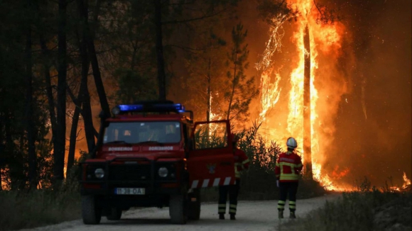 Mais de 100 bombeiros combatem incêndio em Albergaria-a-Velha