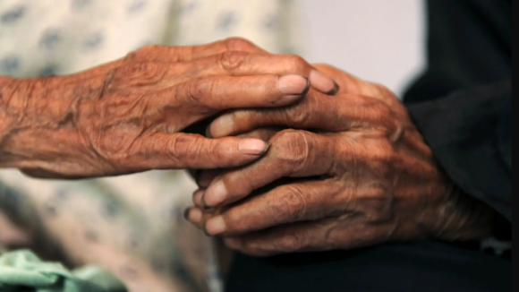 Associa&ccedil;&atilde;o de Apoio &agrave; V&iacute;tima apoiou diariamente quatro idosos v&iacute;timas de viol&ecirc;ncia em 2023