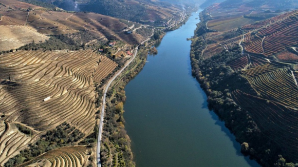 IP anuncia avan&ccedil;os nos investimentos para a moderniza&ccedil;&atilde;o da Linha do Douro