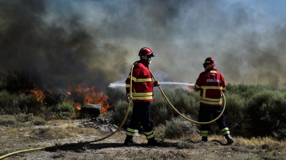 Governo reforça com 750 mil euros campanha de prevenção de incêndios