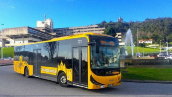 Viana do Castelo altera mapa de pessoal para contratar motoristas para transporte urbano