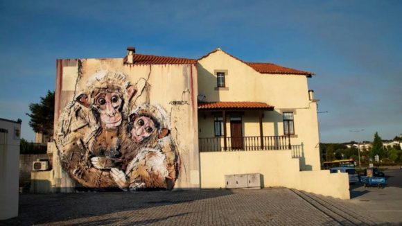 Proprietário de casa que tem obra de Bordalo II em Viseu exige que Câmara pague os danos