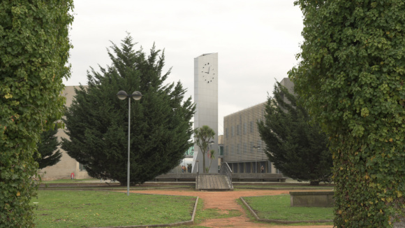 Politécnico do Porto avança com residências para alunos em Felgueiras e Póvoa de Varzim