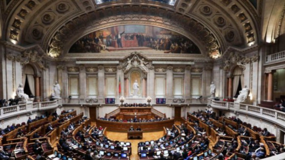 "Pessoas que menstruam". PSD pede esclarecimento sobre expressão utilizada em campanha da DGS