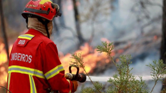 Fogo deflagra em zona de mato em Caminha