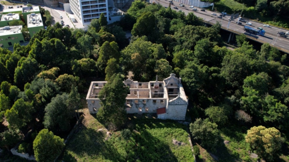 Ap&oacute;s anos de abandono, Quinta de Salgueiros renasce em 2025 para ser um &ldquo;parque-laborat&oacute;rio&rdquo;