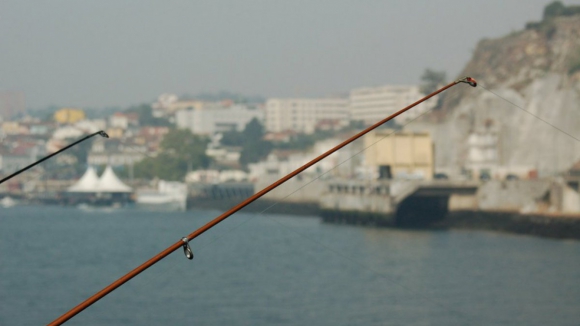 Banhos e pesca proibidos no Douro devido a descarga poluente após incêndio no Porto