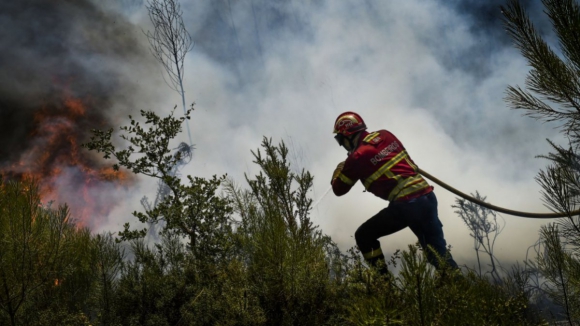 Mais de 50 concelhos do interior Norte e Centro em risco máximo de incêndio