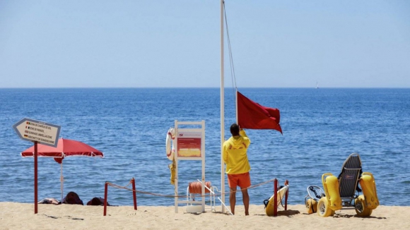 Carta aberta &agrave; ministra do Ambiente por &ldquo;falta de compromisso&rdquo; com a crescente eros&atilde;o costeira de Ovar