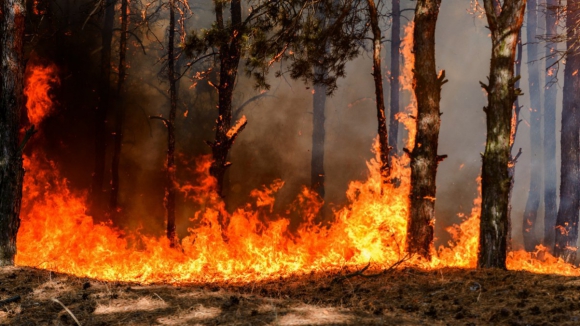 Incêndio que lavra em Bragança desde sábado está a ceder aos meios de combate