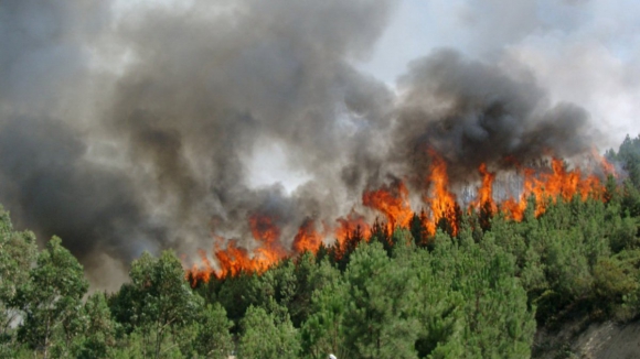 Incêndio em parque natural em Bragança entrou em fase de resolução