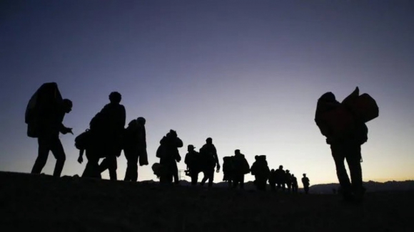 Bispo de Coimbra alerta para retrocesso civilizacional na matéria das migrações