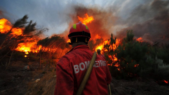 Concelhos do interior Norte em risco máximo de incêndio