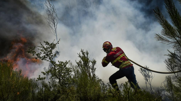 Vários concelhos do Norte em risco máximo de incêndio