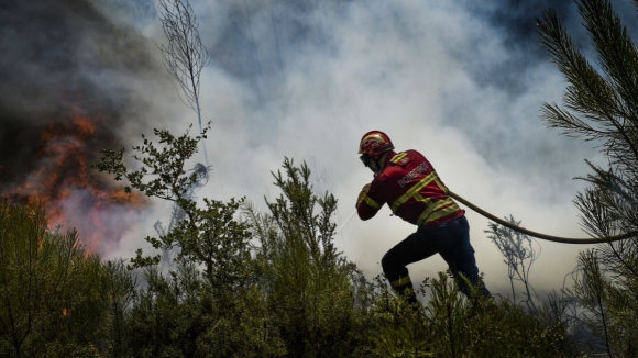 Interior Norte em risco máximo de incêndio