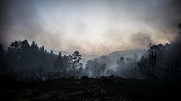 Dominado fogo em Arcos de Valdevez