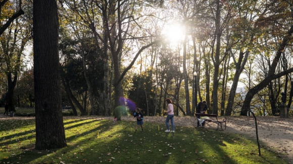 Há quatro jardins no Porto entre os melhores do mundo