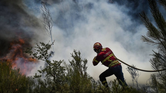 Incêndio florestal combatido por 70 bombeiros e quatro meios aéreos em Vale de Cambra 