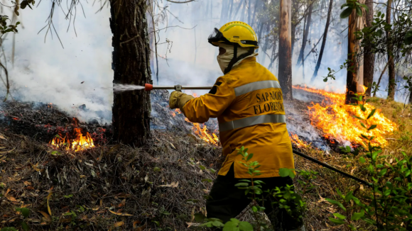 Sapador florestal suspeito de fogo fica em prisão preventiva