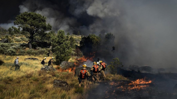 Foram registados 1.912 crimes de incêndio florestal até meados de agosto