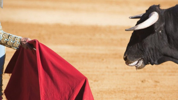 PAN contra touradas em Bai&atilde;o, &uacute;ltimo concelho do distrito do Porto onde ainda existem