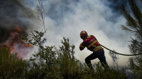 Incêndios. Circulação de trânsito retomada com normalidade no IP4 