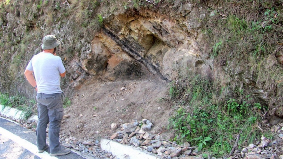 Fóssil com cerca de 300 milhões de anos descoberto em Coimbra