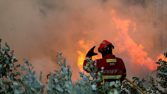 Vieira do Minho, Cabeceiras de Basto e Cinfães. Três maiores incêndios estão no Norte e evoluem favoravelmente