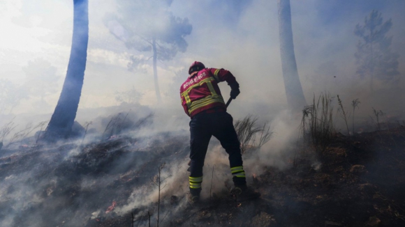 Bragança em perigo máximo de incêndio com chuva à espreita no Norte 