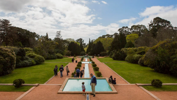 Outono em Serralves com exposições de Francis Alÿs, Godard e Francisco Tropa