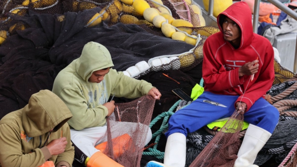 SOS Racismo apela a medidas de combate à violência xenófoba contra migrantes