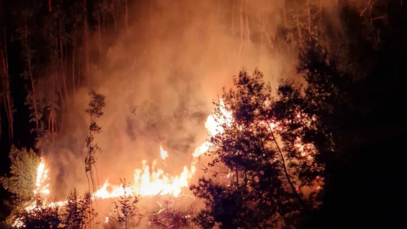 Incêndio florestal deflagra durante a madrugada em Gondomar