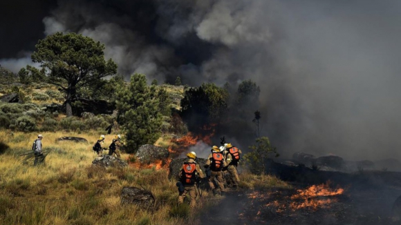 Incêndios. Alerta vermelho para Norte na segunda e terça-feira