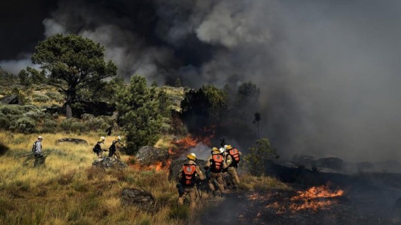 Mais de 100 concelhos em perigo máximo de incêndio rural