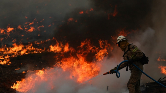 Quase 500 bombeiros combatem incêndio em Oliveira de Azeméis com duas frentes ativas