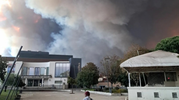 "Já temos casas a arder". Incêndio que começou em Sever do Vouga alastra-se para Albergaria-a-Velha