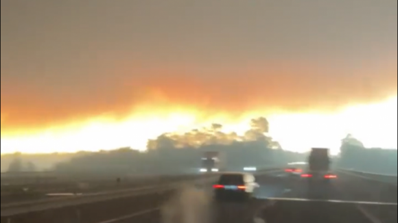 As impressionantes imagens do incêndio que lavra junto à A1 em Albergaria-a-Velha