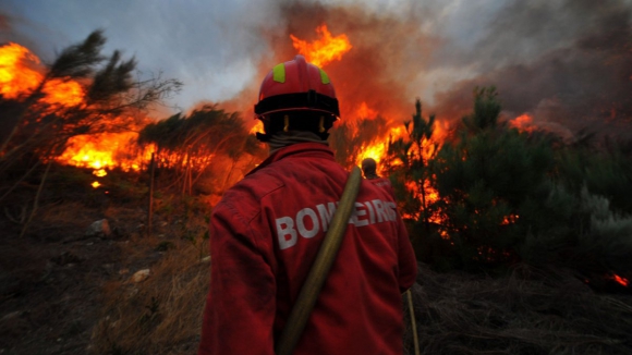 Comissão Europeia pronta para ajudar Portugal a combater incêndios de Aveiro 