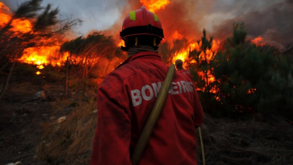 Bombeiro ferido e casas atingidas pelo fogo em Águeda