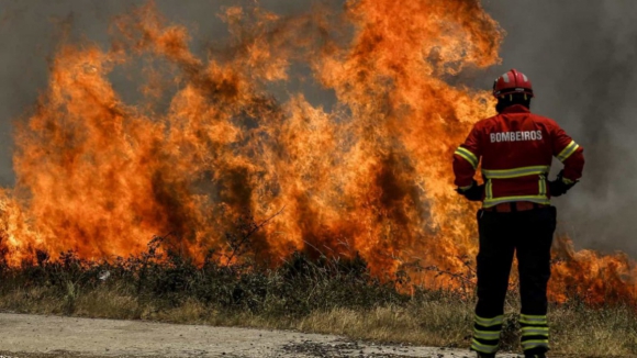 Incêndios em Aveiro. Ferido grave transportado ao hospital de Coimbra