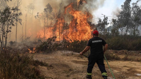 Homem encontrado carbonizado em Albergaria-a-Velha estava a resgatar maquinaria de zona florestal