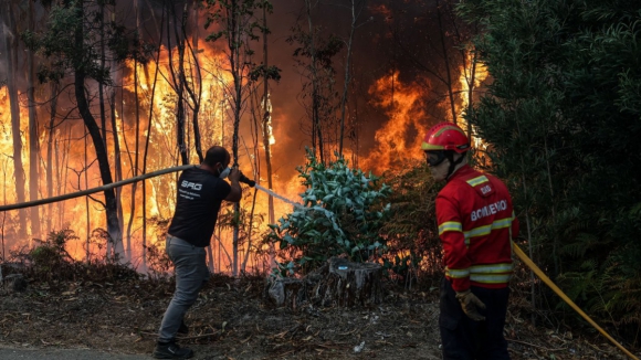 Cinco fogos no distrito de Aveiro já mobilizam mais de 1.200 operacionais