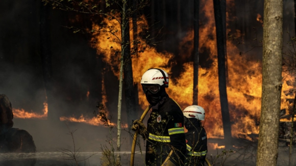 Várias escolas encerradas em Gondomar devido aos incêndios